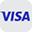 Visa icon logo